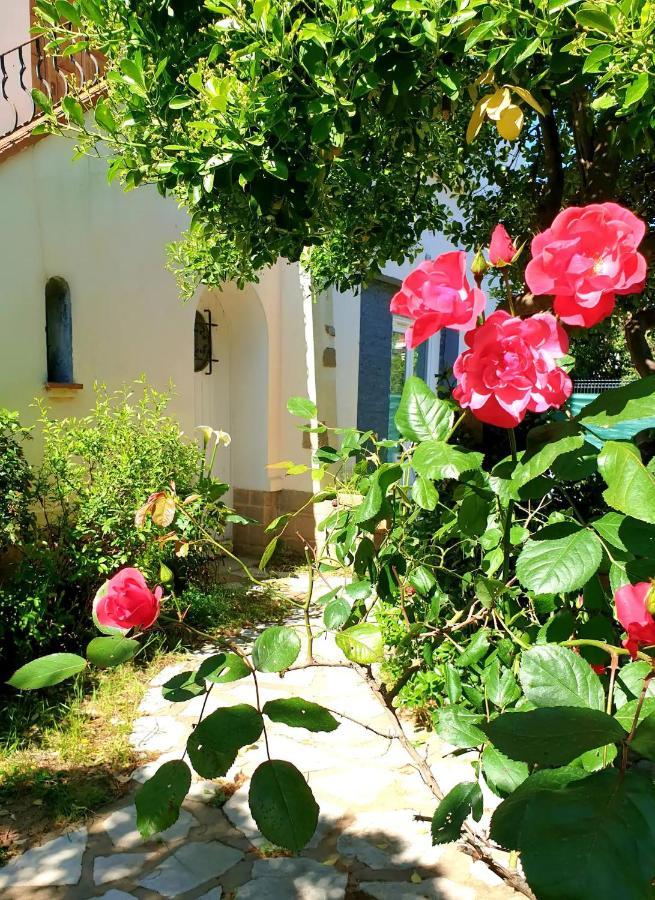 Studio Au Calme Tout Confort Proche Des Plages - Jardin Wifi Parking Frejus Exterior photo
